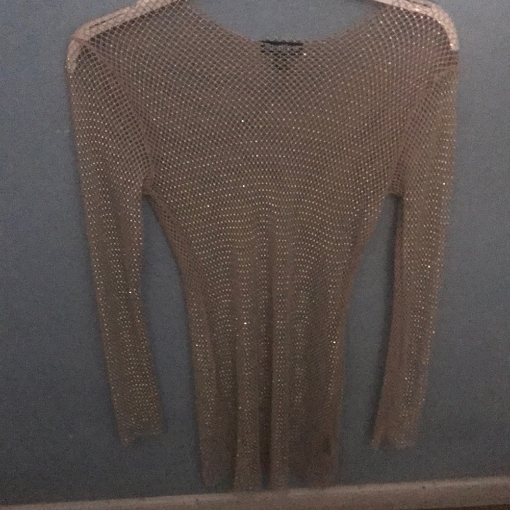 Shimmering Long Sleeve Mesh Top